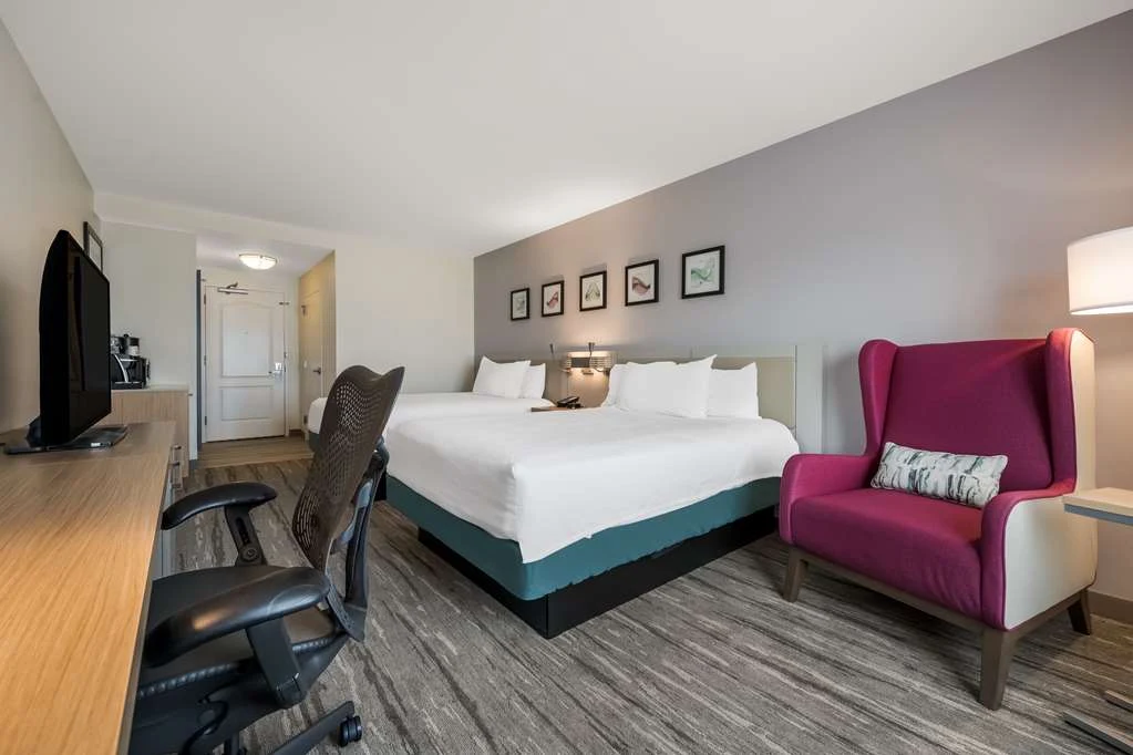 Guest room at Hilton Garden Inn Rockford with a king bed, work desk and lounge chair